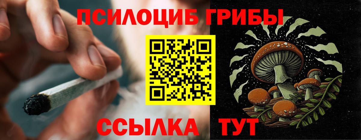 Псилоцибиновые грибы Касимов