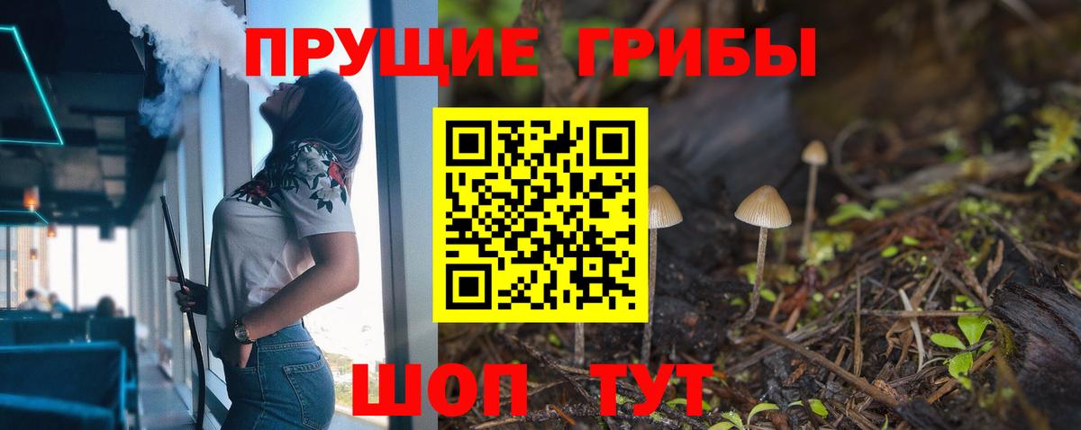 Касимов  Галлюциногенные грибы ЛСД  Вход с VPN 